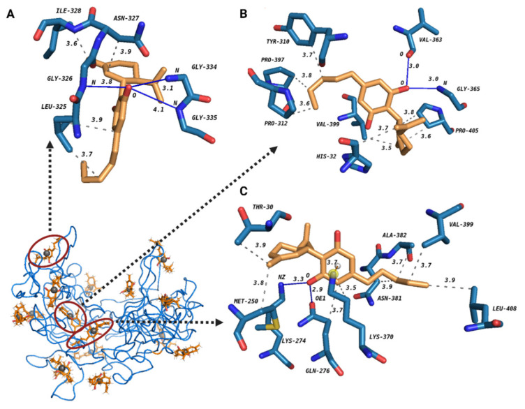 The 3D graphical image of three best tau-CBD docking complexes predicted by Achilles platform Tau protein and CBD are shown in blue and orange, respectively. The grey spheres are pseudo atoms. The best docking pose for three best-fitted clusters of tau-CBD interaction is presented in detail as complex A, complex B, and complex C. Hydrophobic interactions (in dash line), hydrogen bonds (in blue line) and one pi-cation interaction (in red line) as well as the distances between the donor and the acceptor are shown in all three tau-CBD complexes.