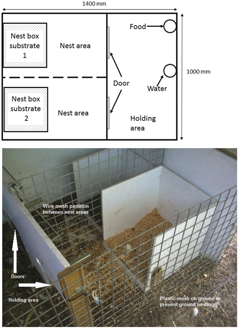 Showing diagram (top) and photograph (bottom) of the behavioural demand unit that was used to test the substrate preference of laying Pekin ducks, and their motivation to access a preferred substrate.