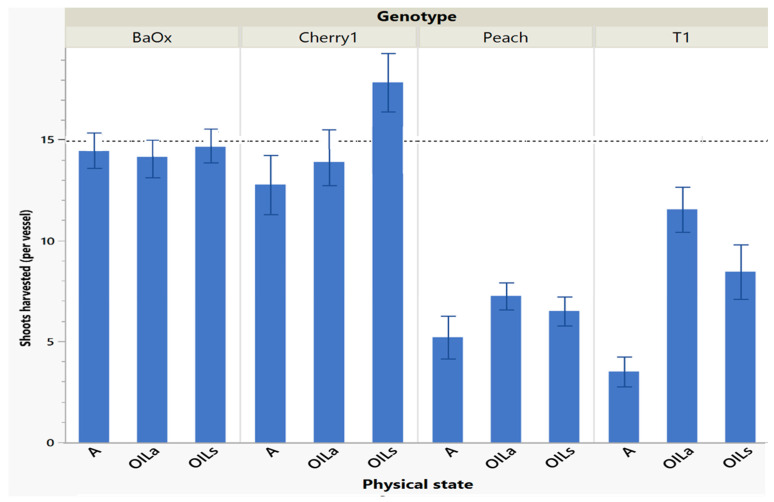 Number of shoots harvested in cycle 1 from RV750 vessels per genotype based on physical state agar (A), agitated Oasis® infused with liquid (OILa), or stationary Oasis® infused with liquid (OILs). Each standard error bar is 1 standard error from the mean, and the initial 15 plants per vessel is shown with a dotted reference line.