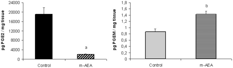 AEA augments PGE2 metabolite levels.Uterine explants were incubated without/with m-AEA (100 nM) for 24 h. A) PGE2 production assessed by RIA; B) PGEM quantification assessed by PGE metabolite EIA kit. Student t Test. a, p<0.001 vs control; b, p<0.01 vs control. n = 5. Both metabolites were assessed in the same sample. PGEM, Prostaglandin E2 metabolite.