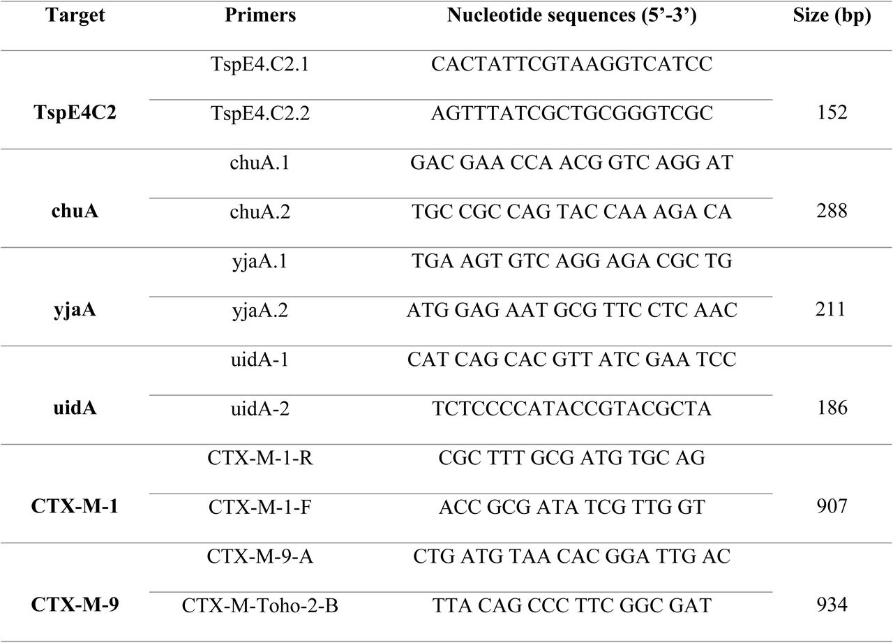 List of primers used for PCR-based phylogenetic grouping of E. coli isolates