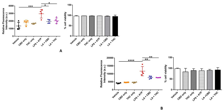 Effect of cannabinoids on ROS generation and cell viability in THP-1 macrophages and primary human bronchial epithelial cells. (A): CBD and THC decreased the cellular ROS levels after LPS + ATP stimulation without affecting cell viability in THP-1 macrophages: The ROS levels and % cell viability were measured using cellular ROS assay kit (Abcam) and trypan blue assay, respectively and quantified using one-way ANOVA with Tukey’s multiple-comparison test. Four independent experiments (n = 4) for ROS assay and three independent experiments (n = 3) for trypan blue assay from THP-1 cells obtained after pre-treatment with CBD or THC for 30 min and LPS stimulation for 3 h followed by ATP 1 h were performed, and data are expressed as means ± SD; * p < 0.05, *** p < 0.001. Each independent experiment was run in duplicates for both assays. (Abbreviation: LA: LPS + ATP). (B): CBD and THC decreased the cellular ROS levels after LPS + ATP stimulation without affecting cell viability in primary HBECs: The ROS levels and % cell viability were measured using cellular ROS assay kit (Abcam) and trypan blue assay, respectively and quantified using one-way ANOVA with Tukey’s multiple-comparison test. Four independent experiments (n = 4) for ROS assay and three independent experiments (n = 3) for trypan blue assay from primary HBECs obtained after pre-treatment with CBD or THC for 30 min and LPS stimulation for 8 h followed by ATP 1 h were performed, and data are expressed as means ± SD; ** p < 0.01, **** p < 0.0001. Each independent experiment was run in duplicates for both assays. (Abbreviation: LA: LPS + ATP; HBECs: Human bronchial epithelial cells).