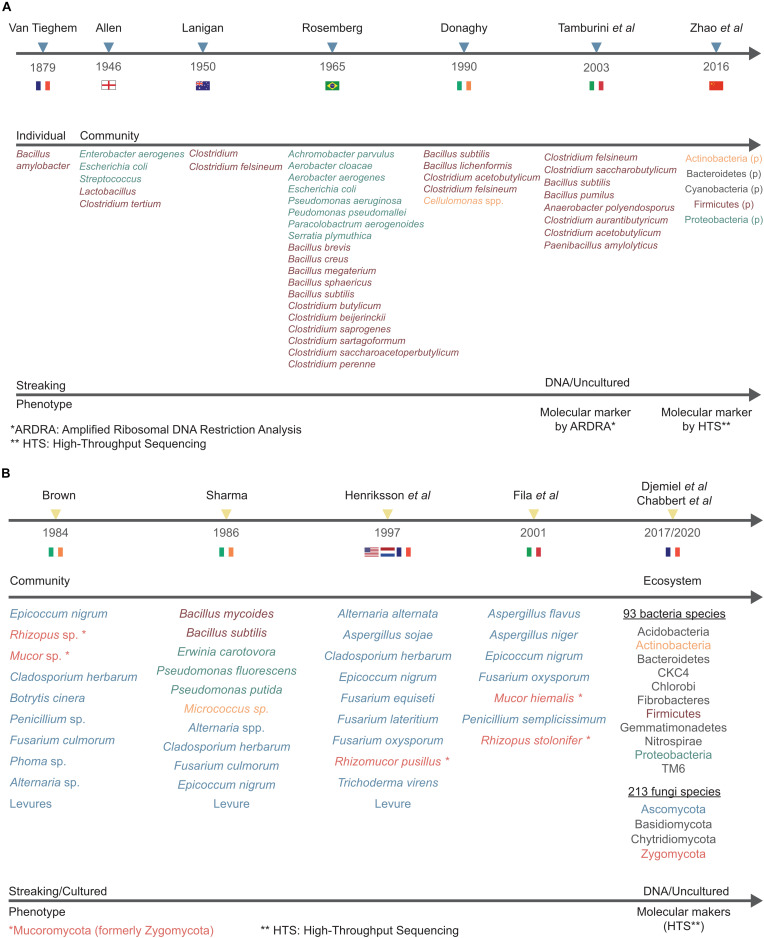 Timelines showing the increasing number of bacterial and fungal species identified over time in flax water-retting (A) and dew-retting (B). Figure shows authors and year of published studies (top line), microbial organization level (individual, community, ecosystem) and name (middle line), culture method and type of analysis (bottom line). The color of phyla (HTS approach) and species names indicates the identification method type (classical vs. HTS). When phyla names are in black it means that they have been identified for the first time by metabarcoding approaches.