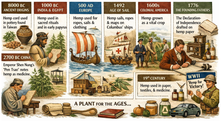 The history of hemp: a timeless plant with endless uses. Adapted from [7].