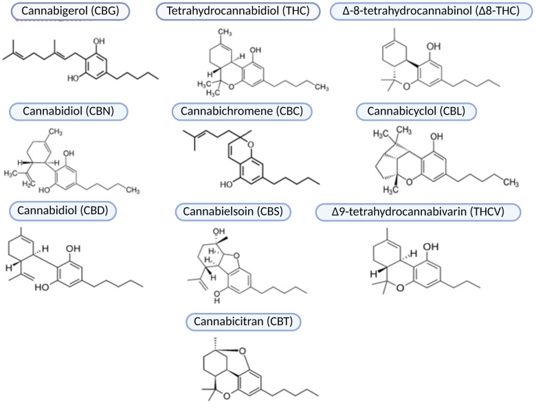 Phytocannabinoids subclasses.