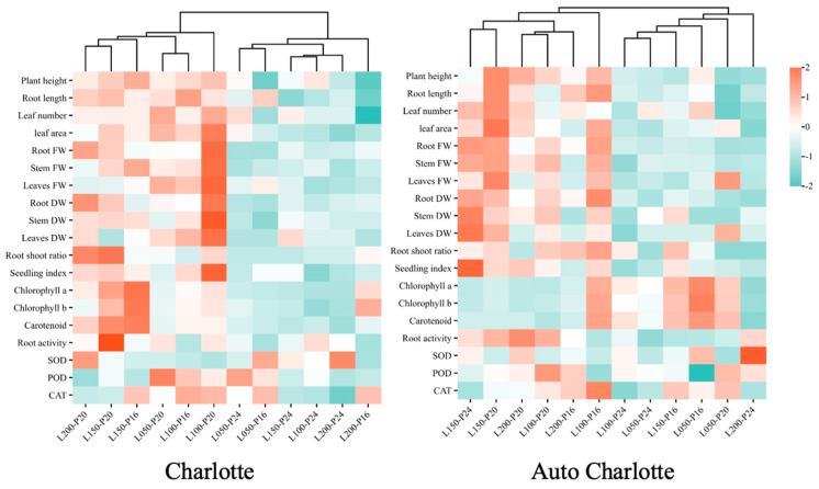 Clustering heatmap of all measured parameters for the two cultivars. L represents light intensity, with 50, 100, 150, and 200 indicating levels of µmol m−2 s−1, and P represents photoperiod, with 16, 20, and 24 indicating levels of h d−1. Red denotes parameter values above the dataset average, while green denotes values below the average, with color intensity reflecting the magnitude of deviation. FW and DW represent fresh weight and dry weight, respectively.