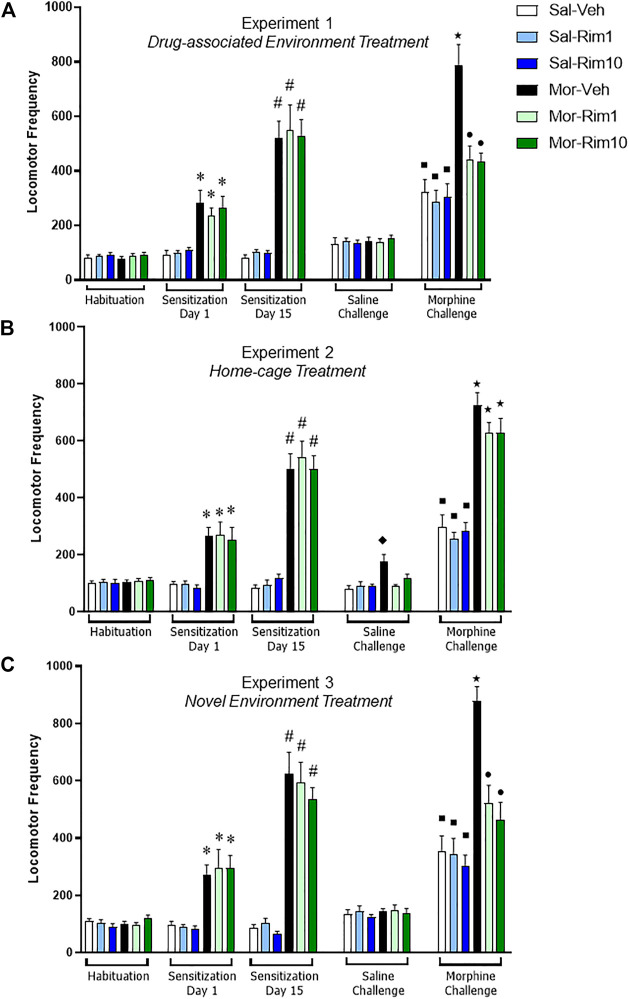 Open-field locomotor activity quantification during the three behavioral experiments. Locomotor activity demonstrating acute hyperlocomotion induced by morphine (Mor, 20 mg/kg) (Sensitization Day 1) and morphine-induced behavioral sensitization (Sensitization Day 15) after a 15-day intermittent treatment (8 morphine or saline—Sal—injections). Effects of treatment with vehicle (Veh) or rimonabant (Rim1 and Rim10, 1 and 10 mg/kg, respectively) for 8 days in the drug-associated environment [(A) open-field, Experiment 1], in the home-cage [(B) Experiment 2] or in a novel environment [(C) activity box, Experiment 3] on subsequent Saline and Morphine challenges. Data are reported as mean ± SEM. *p < 0.05 compared with Saline-treated groups on Sensitization Day 1; #p < 0.05 compared with the same group on Sensitization Day 1; ʋp<0.05 compared with the Sal-Veh group on the Saline Challenge; ■p < 0.05 compared with the same group during the Saline Challenge; ★p < 0.05 compared with the respective control group during the Morphine Challenge; ●p < 0.05 compared with Mor-Veh group during the Morphine Challenge.