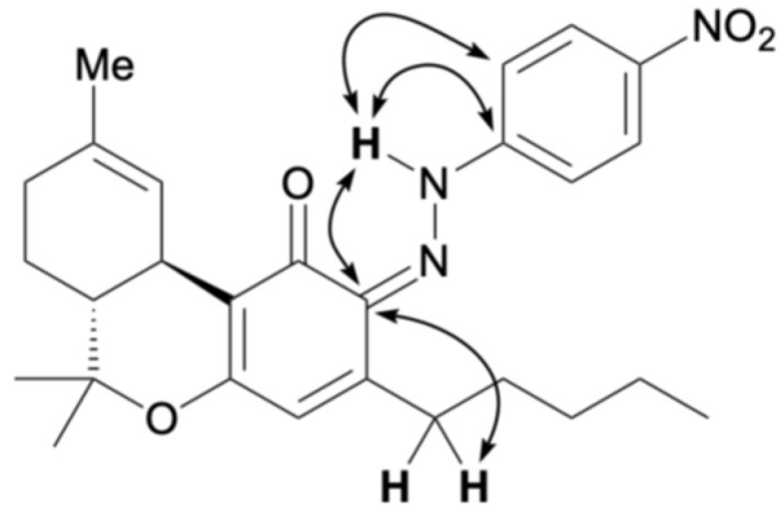 Key HMBC correlations for 10.