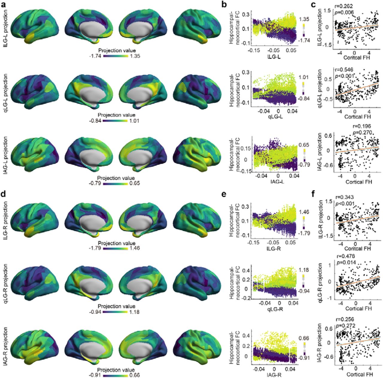 Validation results for cortical projections of the first three hippocampal gradients in the CBD dataset.a, b, and c correspond to the results of the left hippocampus while d, e, and f correspond to those of the right hippocampus.