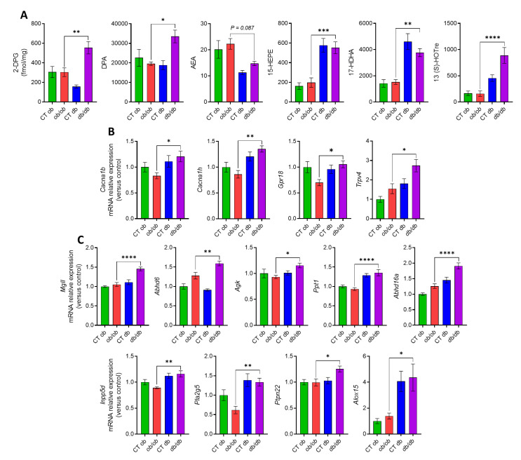 Different eCBome tone in the distal colon of ob/ob and db/db mice. (A) Concentrations of the eCBome-related mediators in the colon (fmol/mg wet tissue weight) measured by HPLC-MS/MS. (B) mRNA expression of receptors and (C) metabolic enzymes for 2-monoacylglycerols and N-acylethanolamines measured by qPCR-based TaqMan Open Array. Data are presented as the mean ± S.E.M of n = 7–10. * p ≤ 0.05, ** p ≤ 0.01, *** p ≤ 0.005, **** p ≤ 0.001. For mRNA expression, relative units were calculated versus the mean of the CT ob mice values set at 1. Data were analyzed by one-way ANOVA followed by Tukey’s post hoc test. Abbreviations: see Supplementary Tables S1 and S2.