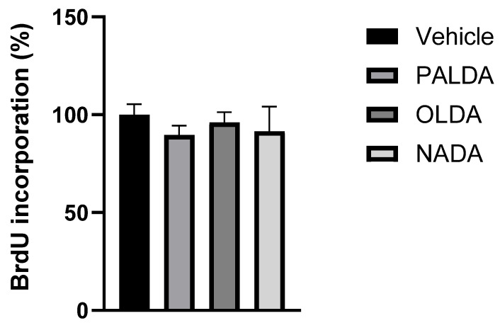 The effects of N-acyl dopamines on human RPE cell proliferation. Primary cultured human RPE cells were treated with the vehicle or OLDA, PALDA, or NADA, plus TNT (10 ng/mL) for 72 h. After 4 h of BrdU incubation, cells were fixed, and BrdU incorporation was detected using primary and secondary antibody solutions, followed by wash steps. BrdU incorporation was measured spectrophotometrically at 450 nm, using a plate reader. Data are normalized to vehicle-treated cells and presented as mean ± SEM.