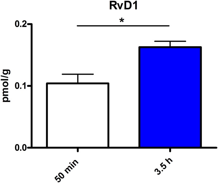 RvD1 concentration in spleen after different time points of PEA treatment: absolute concentrations of RvD1 [normalized to the tissue weight (spleen ≙ 20 mg)] after two time points of PEA treatment presented as mean value ± SEM. RvD1 is significantly increased after 3.5 h of PEA treatment as compared to 50 min. Of note, RvD1 was not detected in saline-treated control mice, likely because they are at basal level under limit of detection/quantification or not biosynthesized. Data were considered significant at a p-value < 0.05, e.g., ∗∗∗p < 0.001, ∗∗p = 0.001 to 0.01; ∗p = 0.01 to 0.05.