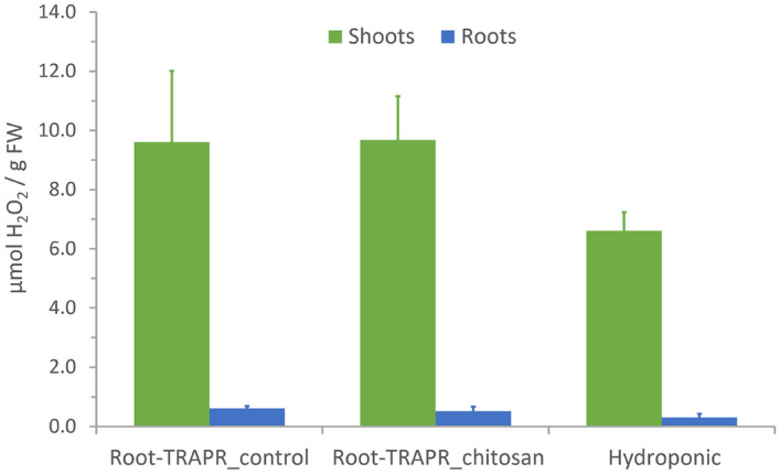 Hydrogen peroxide contents measured from shoots and roots of control and chitosan-treated plants grown in the Root-TRAPR systems compared to the plants grown in standard hydroponic solution. Values are an average of three biological replicates displaying SEM in the error bar. Statistical one-way ANOVA with Tukey's HSD test was used to compare the means across three conditions within the same tissue types, but statistically significant differences were not observed