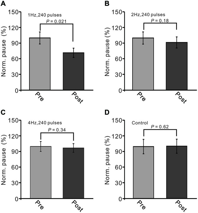 LTD of sensory-evoked P1 at PCs was accompanied with a decrease in the pause of SS firing. (A) Bar graph showing normalized pause of SS firing before (pre) and after (post) delivery of 1 Hz (240 pulses) stimulation. (B) Pooled data showing normalized pause of SS firing before (pre) and after (post) delivery of 2 Hz (240 pulses) stimulation. (C) Summary of data showing normalized values of the pause before (pre) and after (post) delivering 4 Hz (240 pulses) stimulation. (D) Bar graph showing normalized pause firing values under control conditions (without train of facial stimulation). Note that the amplitude of the pause of SS firing was decreased after 1 Hz stimulation, but not after 2 Hz or 4 Hz stimulation.