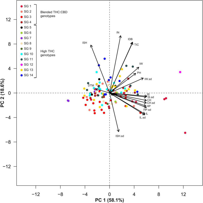 Principal Component Analysis (PCA) for 119 genotypes across 14 Inflorescences’ attributes and three physiological parameters. Colors indicate genotypic classifications into strain groups (SG) according to vernacular affiliations (for example, “Banana Kush” or “Diesel”). Genotypes marked in red (or a red shade) are characterized with a blended THC:CBD ratio while all other colors indicate high-THC genotypes (plants cannabinoid classification was assessed through DNA markers). Abbreviations: Inflorescence Size (IS), Inflorescence Size standard deviation (IS.sd), Convex Hull (CH), Convex Hull standard deviation (CH.sd), Hull Perimeter (HP), Hull Perimeter standard deviation (HP.sd), Inflorescence Length (IL), Inflorescence Length standard deviation (IL.sd), Inflorescence Width (IW), Inflorescence Width standard deviation (IW.sd), Total Inflorescence Coverage (TIC), Inflorescence Number (IN), Inflorescence Shape (ISH), Inflorescence Shape standard deviation (ISH.sd), Inflorescence Dry Biomass (IDB), Plant Height on harvest day (PH), Days To Maturation (DTM).