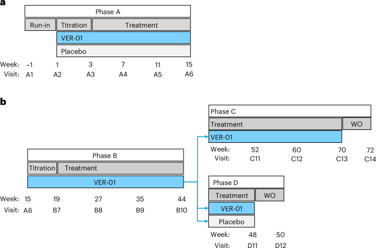 Trial design.a, The trial design of phase A. b, The trial design of phases B–D. WO, washout.
