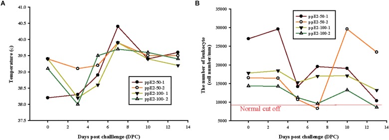 Plant-produced E2 fusion protein vaccination provides protection from classical swine fever virus challenge. (A,B) Two piglets were immunized with two doses of either 50 μg or 100 μg of plant-produced E2 fusion protein (ppE2), and challenged with virulent classical swine fever virus (CSFV). Symptoms of CSFV infection in vaccinated animals are shown. Body temperature (A) and total leukocyte counts (B) were examined at 0, 3, 5, 7, 10, and 13 days after viral challenge. The individual data points were presented.