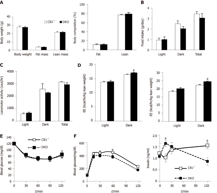 Cannabinoid type 1 receptor-null mice have similar adiposity and insulin sensitivity compared to double-knockout mice. Cannabinoid type 1 receptor-null (CB1-/-) and double-knockout (DKO) male mice at 4 mo of age. A: Body weight and body composition; B: Daily food intake; C: Locomotor activity; D: Energy expenditure adjusted by body weight or lean mass; E: Insulin tolerance tests; F: Glucose tolerance tests at 5 mo of age. n = 5-7. aP < 0.05, CB1-/- vs DKO.
