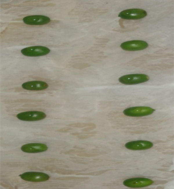 (a)
