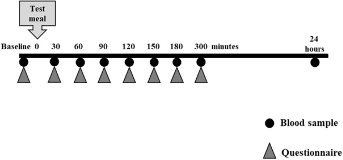 Intervention day sampling diagram for bloods and questionnaires