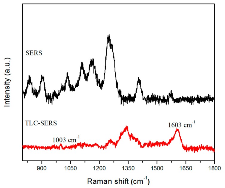 SERS spectra of THC in a marijuana-user urine sample before and after TLC separation.
