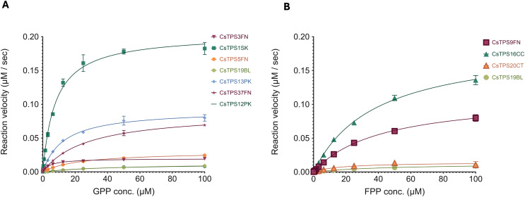 Michaelis-Menten kinetics of Cannabis sativa terpene synthases (CsTPS).(A) Non-linear regression analysis of steady-state kinetic assays for CsTPS enzymes using geranyl diphosphate (GPP) as the substrate, showing the rate of GPP catalysis (µM of GPP consumed per second). CsTPS3FN: β-myrcene synthase; CsTPS16CC: Germacrene B synthase; CsTPS1SK: Limonene synthase; CsTPS5FN: Myrcene/pinene synthase; CsTPS19BL: Nerolidol/Linalool synthase; CsTPS13PK: Ocimene synthase; CsTPS37FN: Terpinolene synthase; CsTPS12PK: Terpinene synthase. (B) Non-linear regression analysis of steady-state kinetic assays for CsTPS enzymes using farnesyl diphosphate (FPP) as the substrate, showing the rate of FPP catalysis (µM of FPP consumed per second). Each curve represents the data fitted to the Michaelis-Menten equation to determine kinetic parameters. CsTPS9FN: β- caryophyllene/humulene synthase; CsTPS16CC: Germacrene B synthase; CsTPS20CT: Hedycaryol synthase; CsTPS5FN: Myrcene/pinene synthase; CsTPS19BL: Nerolidol/Linalool synthase.