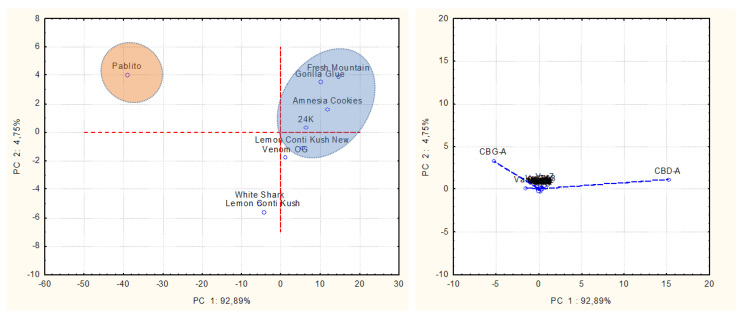 Representation of PCA score and loading plots reporting hemp varieties and their contents of terpenes, polyphenols, and cannabinoids.