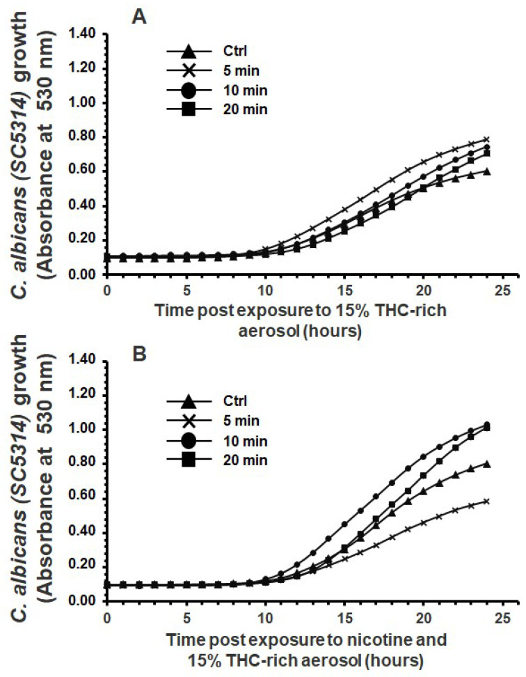 Exposure to e-cigarette aerosol with 15% tetrahydrocannabinol (THC) and (A) without or (B) with 12 mg/mL nicotine promoted the growth of Candida albicans. The cells were exposed twice a day to e-cigarette aerosol, and growth was evaluated by measuring turbidity at 530 nm using a spectrophotometer (n = 5).