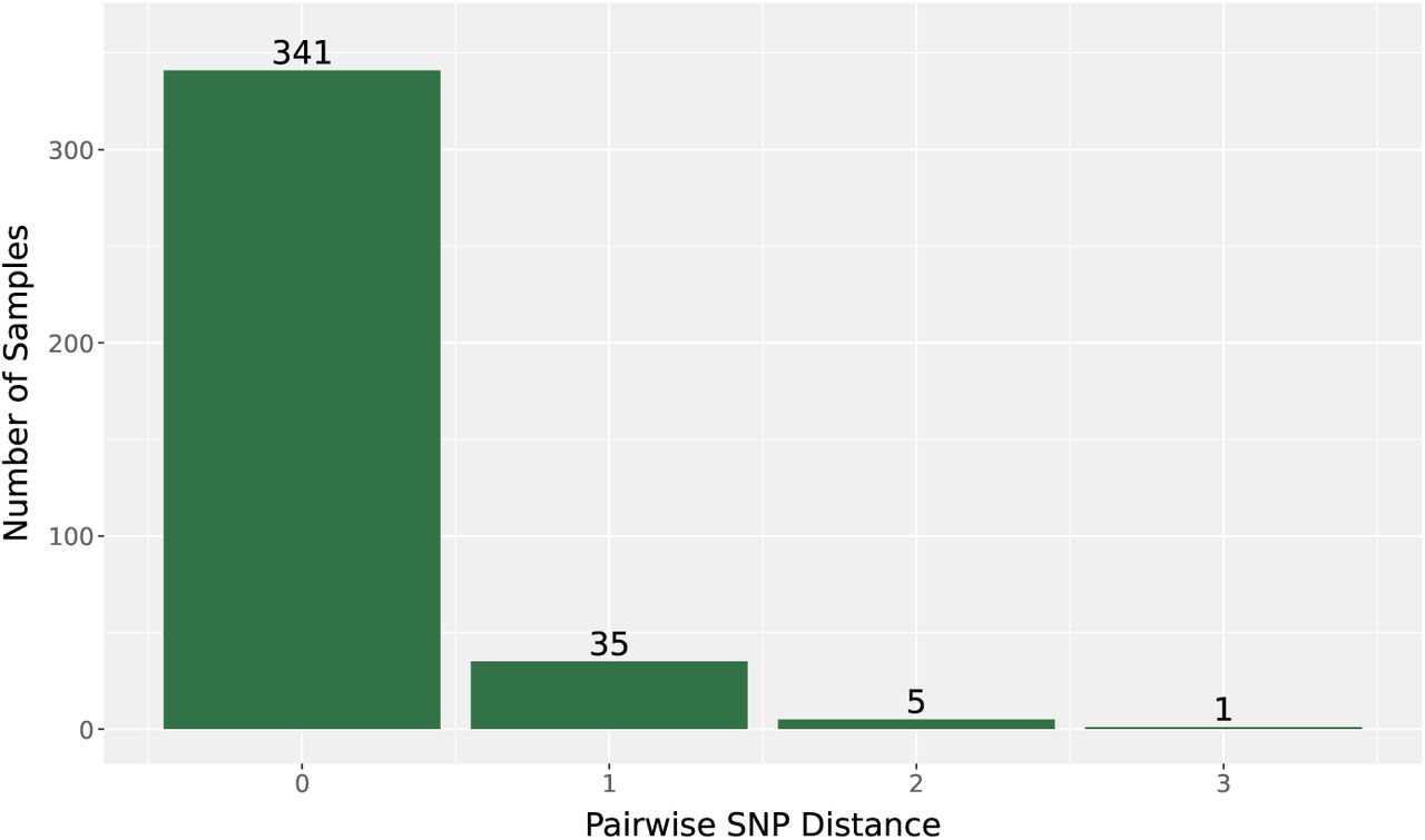 SNP distance between ONT and Illumina assemblies on the same sample.