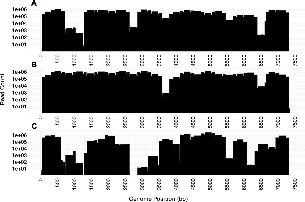 Genome coverage using the newly developed tiled amplicon design.The number of sequencing reads, displayed on the y-axis (log-scale), across all positions of each genome are shown. A) NR-49135 (accession MH708882) , B) NR-52357 (accession MN246009), and C) NR-55939.
