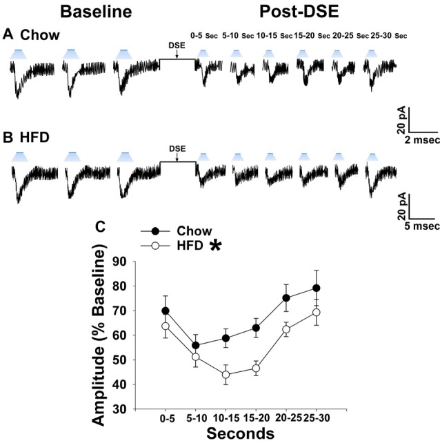 The postsynaptic depolarization-induced reduction in leEPSC amplitude seen in chow-fed males is even further reduced in HFD-fed animals. (A) Representative membrane current trace illustrating that the eEPSC amplitude is reduced post DSE in chow-fed animals (n = 22). However, this effect is significantly enhanced in animals fed a HFD (B; n = 19). A composite line graph showing how the reduction in leEPSC amplitude caused by postsynaptic depolarization is significantly augmented (C). Lines represent means and vertical lines 1 SEM. *P < 0.05; rank-transformed multifactorial ANOVA/LSD.