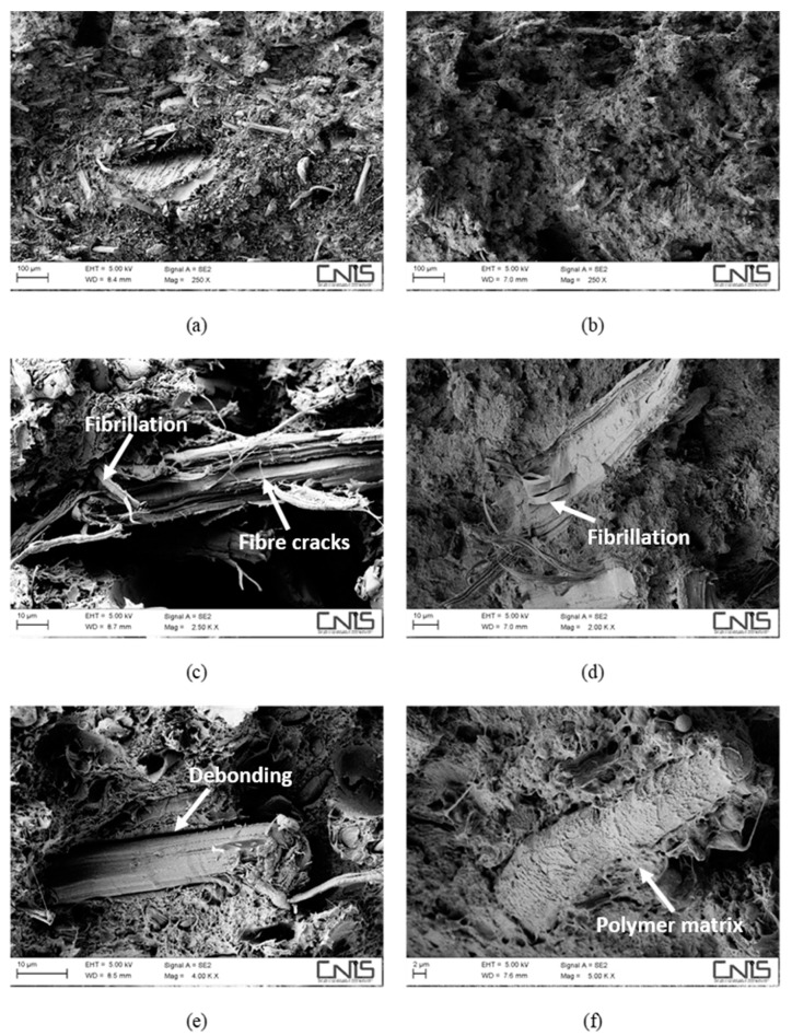 SEM micrographs detailing the fracture surface of water-aged composites, reinforced with 30 wt % of hemp fibres without (a,c,e) and with (b,d,f) a coupling agent.