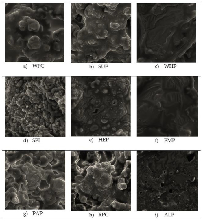 (a–i) Microstructure of high-protein bars from the scanning electron microscope (SEM HV: 30 kV, View field: 271 μm, SEM MAG: 800×).