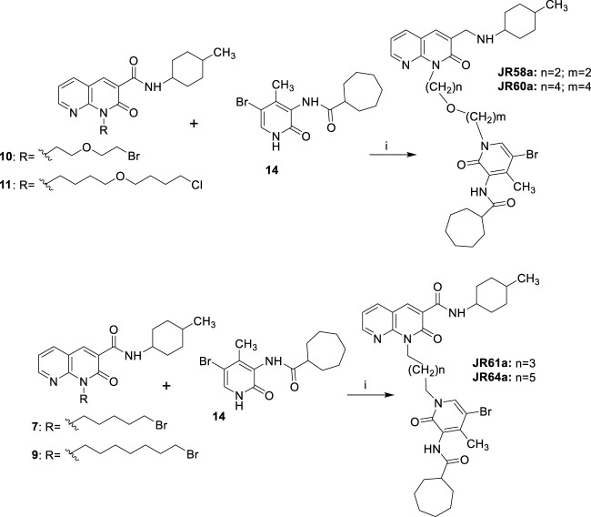 Synthetic pathway for the synthesis of compounds JR58a, JR60a, JR61a and JR64a. Reagents and conditions: i) a) NaH, DME, DMF, 0°C, 30 min; b) LiBr r.t. 20 min; suitable c) 65 °C, 12 h.