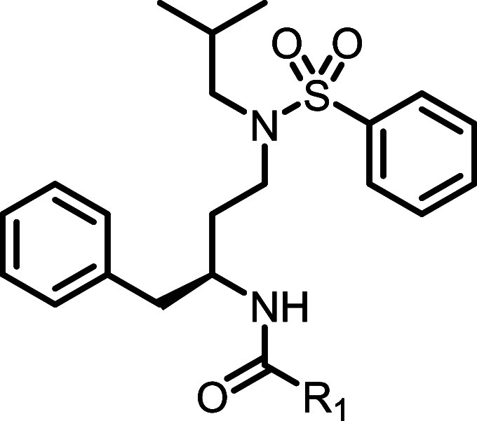 CB2 Potency, Predicted Hepatic Clearance, and P-gp Efflux Data for Compounds 21a–e
