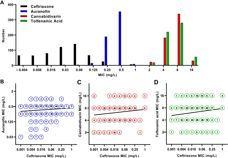 Gonococcal susceptibility to auranofin, cannabidivarin, and tolfenamic acid and their susceptibility correlation analysis with ceftriaxone. (A) Distribution of MICs for 575 clinical Neisseria gonorrhoeae isolates. (B) Correlation between MICs of auranofin and ceftriaxone. (C) Correlation between MICs of cannabidivarin and ceftriaxone. (D) Correlation between MICs of tolfenamic acid and ceftriaxone. Each symbol in panels b to d represents one or more isolates, indicated by a specific number within the symbol. The regression line is shown.