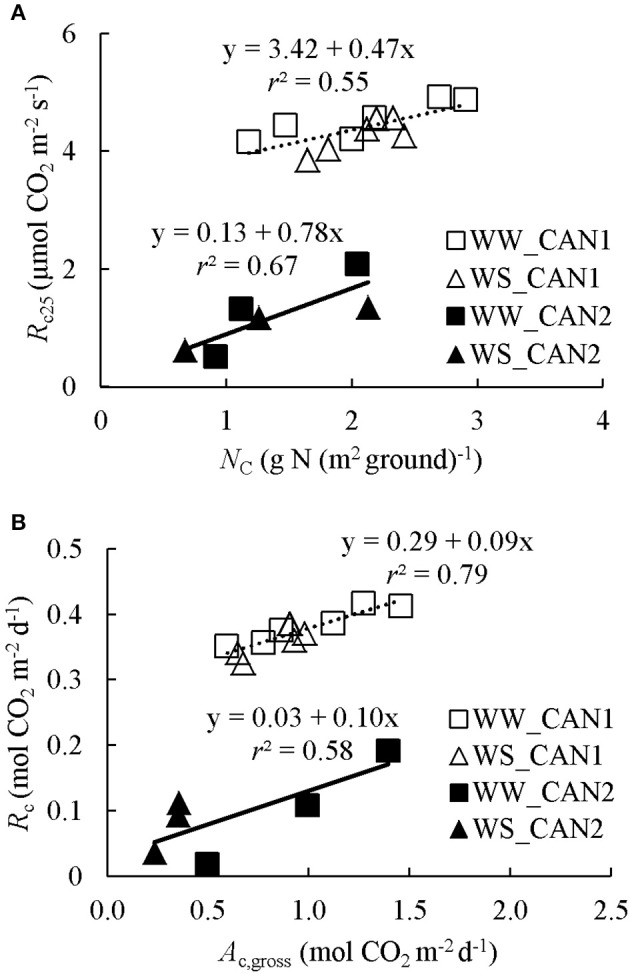 (A) Responses of canopy respiration at 25°C (Rc25) to canopy leaf nitrogen content (NC). (B) Relationship between daily integrated canopy respiration (Rc) and gross photosynthesis (Ac,gross). WW and WS denote well-watered and water-limited conditions, respectively. CAN1 and CAN2 are experimental codes, see text for details.