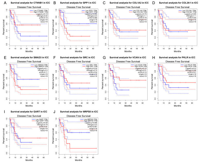 Kaplan–Meier curves of hub gene expression and disease-free survival for each of the top hub genes. Blue curve: low-expression group; red curve: high-expression group.