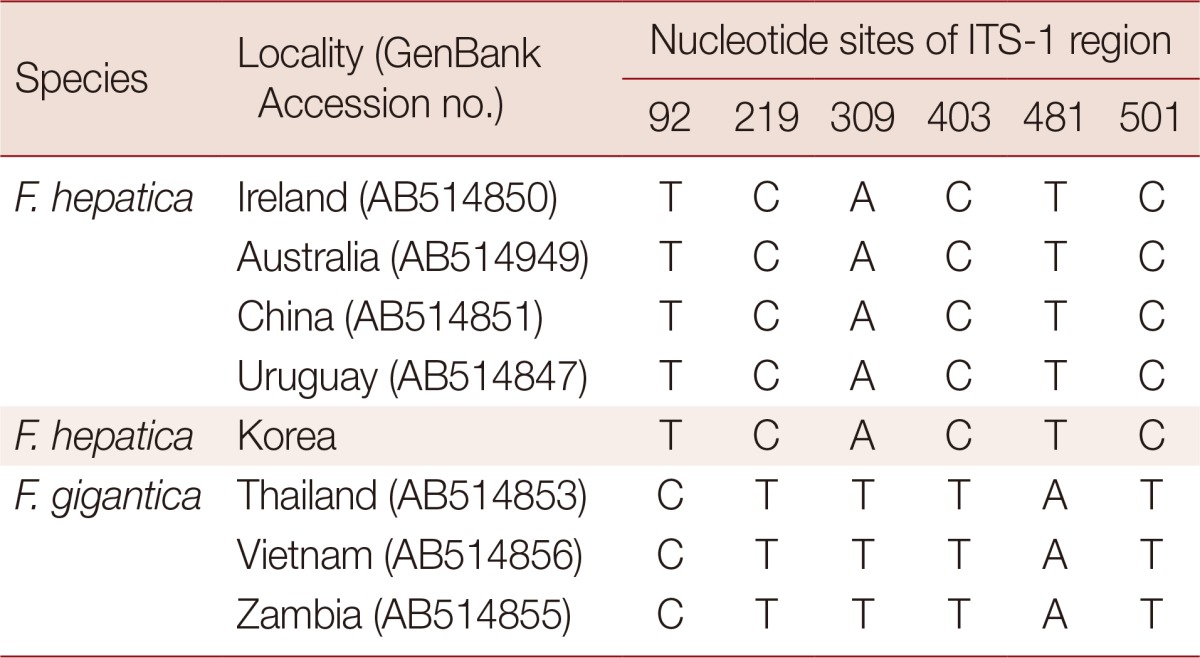 Nucleotide comparison at 6 variable sites of ITS-1 region of Fasciola spp. from Korea and 7 other countries