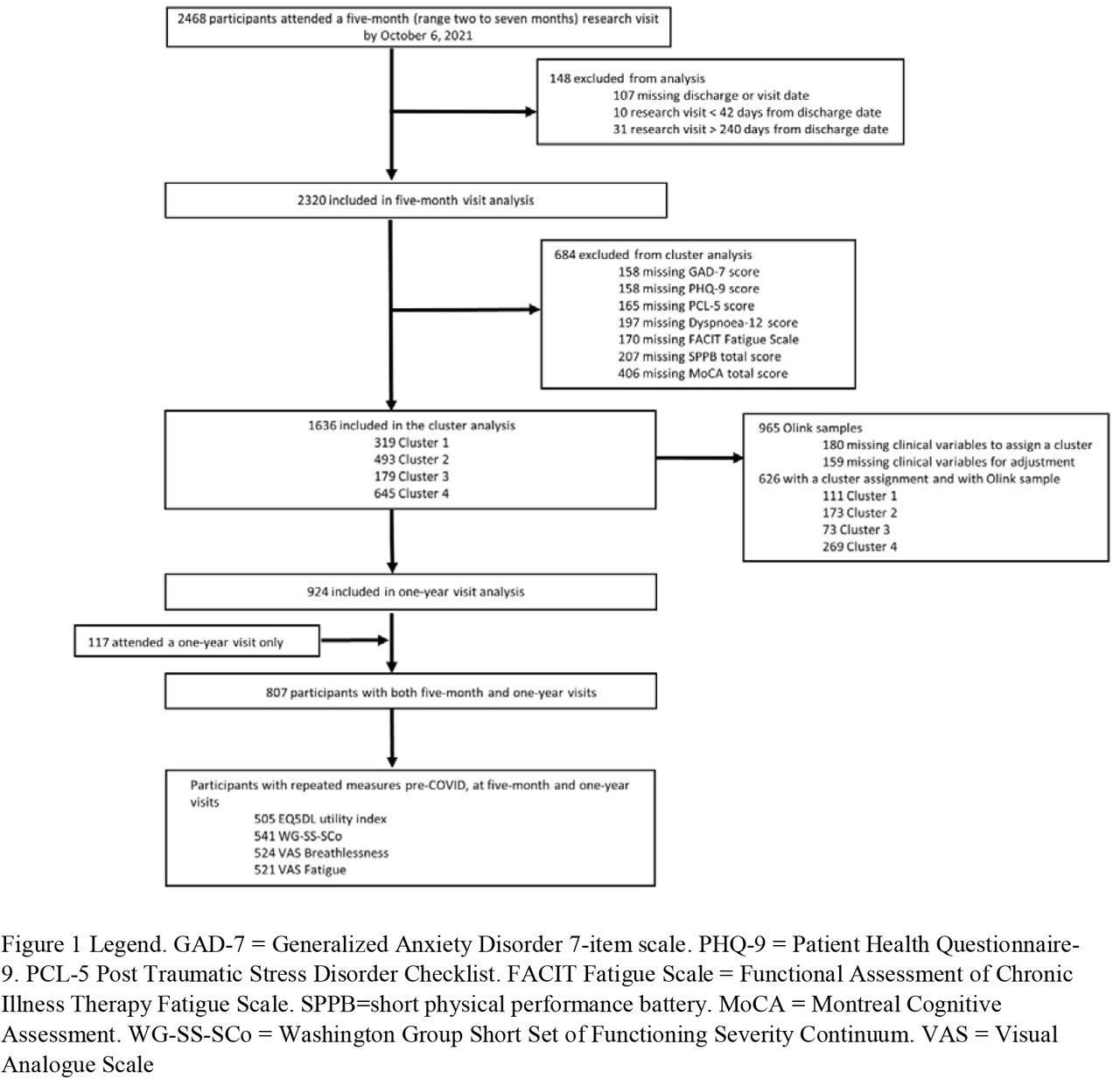 Consort diagram of participants
