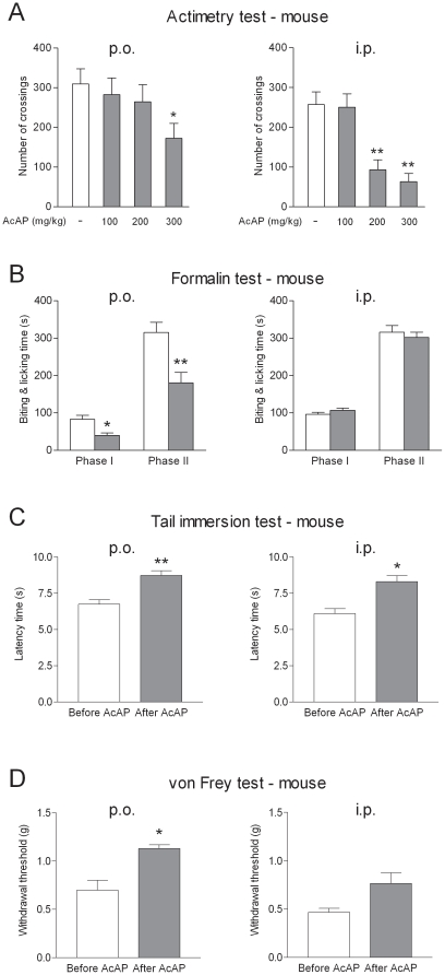 Dose-effect relationship of acetaminophen on locomotor activity and nociception in mice.Left and right panels of the figure show the effects of acetaminophen after oral (p.o.) and intraperitoneal (i.p.) administration, respectively. (A) Animals were placed in actimetry boxes (Actisystem, Apelex) and their movements were assessed by determining the number of crossings of light beams during 15 min. Intraperitoneal doses induced a higher reduction in spontaneous activity than oral doses. The test was performed 20 min after acetaminophen administration. Data are given as mean ± SEM (n = 6). *P<0.05, **P<0.01 compared to vehicle. (B–D) Mice were submitted to chemical (B), thermal (heat; C) and mechanical (D) stimuli before and 20 min after oral or intraperitoneal administration of acetaminophen at the highest dose that was without effect on locomotor activity (200 mg/kg p.o. and 100 mg/kg i.p.). Data are given as mean ± SEM (n = 6). *P<0.05, **P<0.01 compared to vehicle (A, B) or before treatment (C, D).