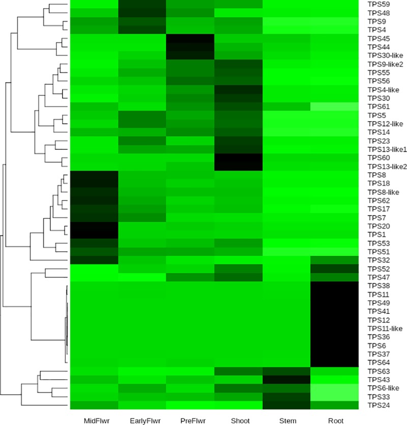 Tissue specific gene expression.Heatmap of terpene synthase gene expression across the six tissues of the Purple Kush RNA-Seq data set [13] Each gene (row) normalized to percent of total expression for each gene (summed across all tissue types). Darker color means higher percentage of total expression for a given gene.