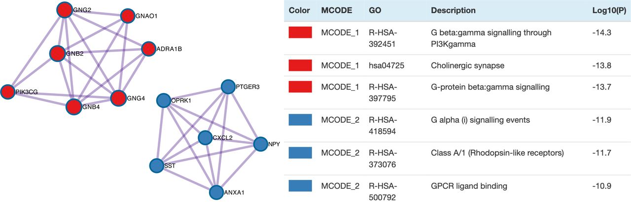 Densely connected networks of protein-protein interactions and their enrichment categories. GPCR: G protein-coupled receptor.