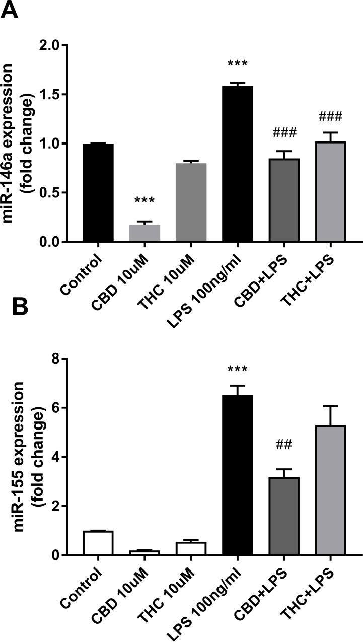 CBD downregulates the expression of miR-146a-5p and miR-155-5p in LPS-activated microglial cells.Cells were treated for 2 h with the indicated concentrations of cannabinoids and then activated for 4 h with 100 ng/ml LPS. Cells were harvested and miRNA was extracted for qPCR analysis. qPCR data were plotted as the mean ± SEM of three to four independent experiments. (A) One-way ANOVA F(5,12) = 78.66 p < 0.001; (B) one-way ANOVA F(5,18) = 49.61 p < 0.001. Tukey multiple comparison post hoc test: ***p < 0.001 vs. control; ##p < 0.01 and ###p < 0.001 vs. LPS.
