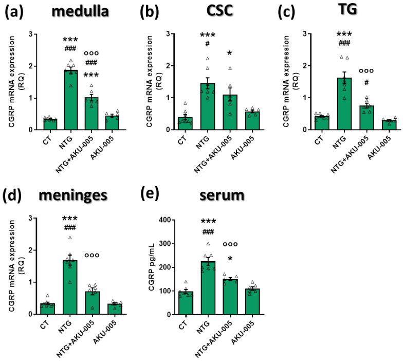 Gene expression and serum protein levels of CGRP. mRNA expression levels of CGRP in the (a) medulla, (b) cervical spinal cord (CSC), (c) trigeminal ganglion (TG), and (d) meninges; (e) CGRP serum levels (pg/mL). Data are expressed as mean ± SEM. One-way ANOVA followed by Tukey’s multiple comparisons test; * p < 0.05 and *** p < 0.001 vs. CT; °°° p < 0.001 vs. NTG; # p < 0.05 and ### p < 0.001 vs. AKU-005. Individual subjects’ values are represented as triangle; N = 6–8.