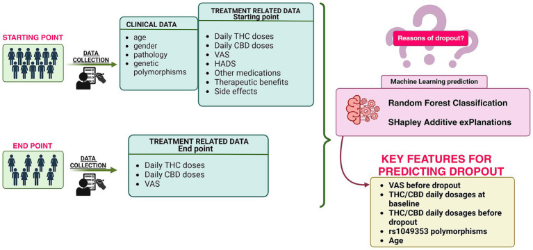 Study design for predicting dropout in chronic pain patients undergoing cannabis therapy.