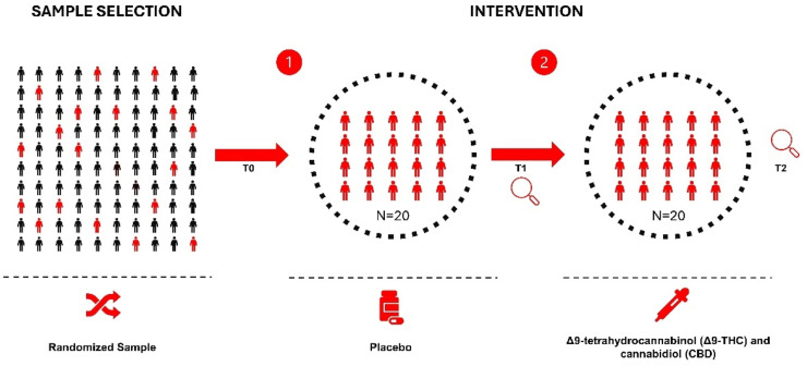 Fig. 1 dummy alt text