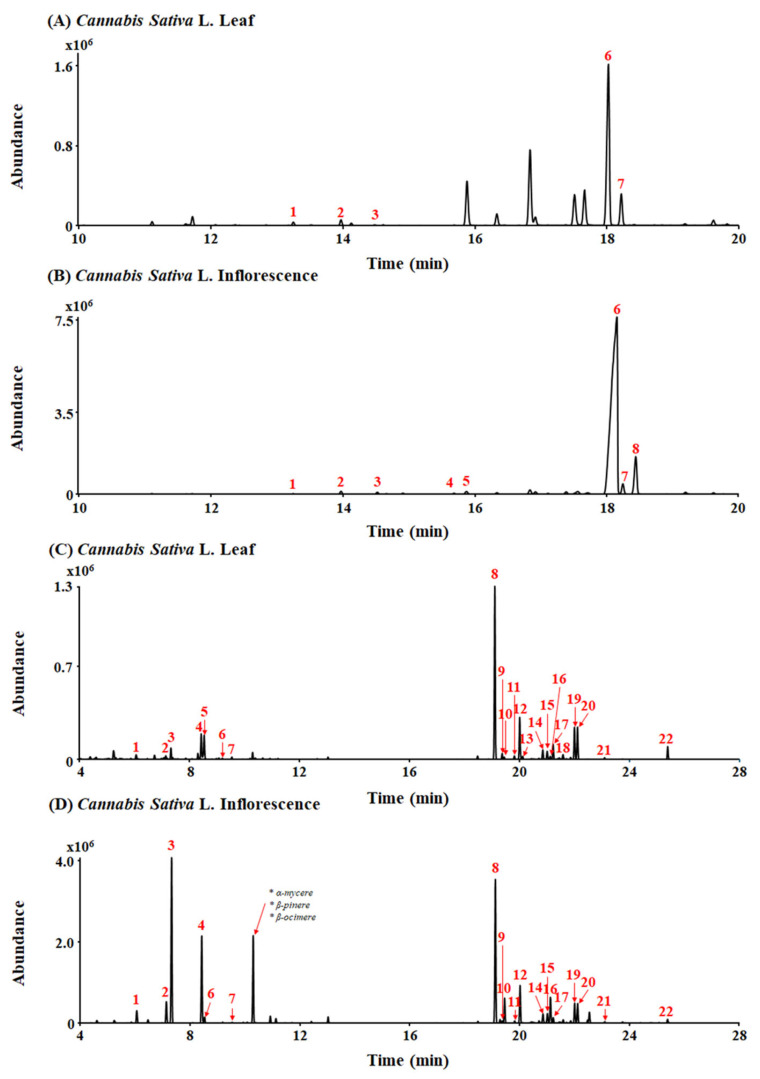 Total ion chromatograms (TICs) of leaf and inflorescence extracts of Cannabis sativa L. (A,B) Peak identities by GC-MS are as follows: 1. CBC; 2. Δ9-THC; 3. CBG; 4. CBDA; 5. THCVA; 6. THCA; 7. CBCA; and 8. CBGA. (C,D) Peak identities by headspace GC/MS are as follows: 1. α-pinene; 2. β-pinene; 3. myrcene; 4. limonene; 5. eucalyptol; 6. γ-terpinene; 7. Z-sabinene hydrate; 8. β-caryophyllene; 9. α-bergamotene; 10. α-guaiene; 11. E-β-farnesene; 12. α-humulene; 13. alloaromadrene; 14. β-selinene; 15. α-selinene; 16. Z,E-α-farnesene; 17. β-bisabolene; 18. β-sesquiphellandrene; 19. E-α-bisabolene; 20. selina-3,7(11)-diene; 21. caryophyllene oxide; and 22. α-bisabolol.