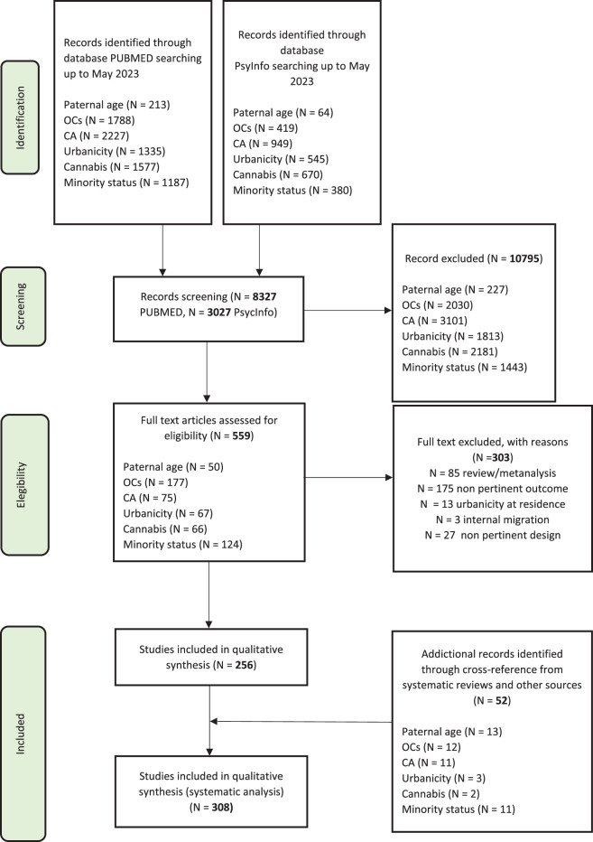 Flowchart of the studies’ selection.