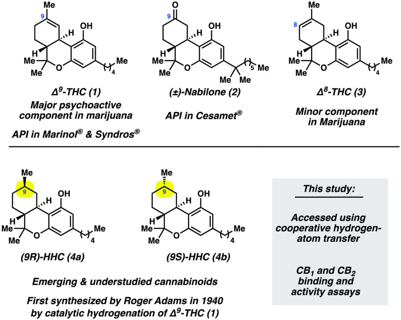 Cannabinoids 1–3 and emerging cannabinoids HHCs 4a and 4b.